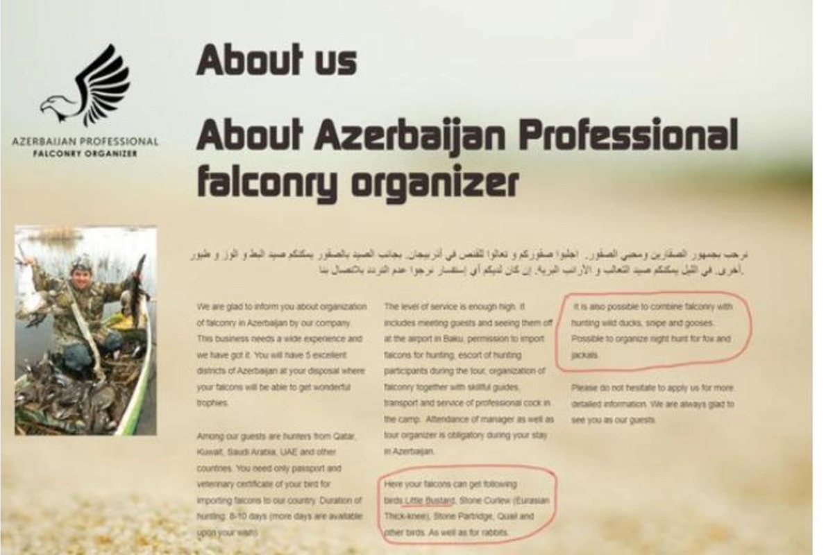 Azərbaycanda qanunsuz ovu təklif edən sayt aşkarlandı — FOTOLAR