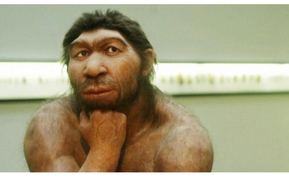 Tapılan uşaq dişi tarixi alt-üst edəcək? — Neandertallar və müasir insanlar bir yerdə yaşayıb