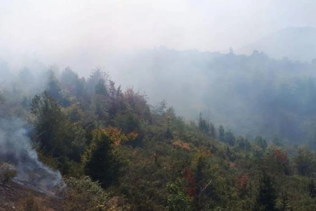 İlisu Dövlət Təbiət Qoruğunda baş vermiş yanğın söndürüldü