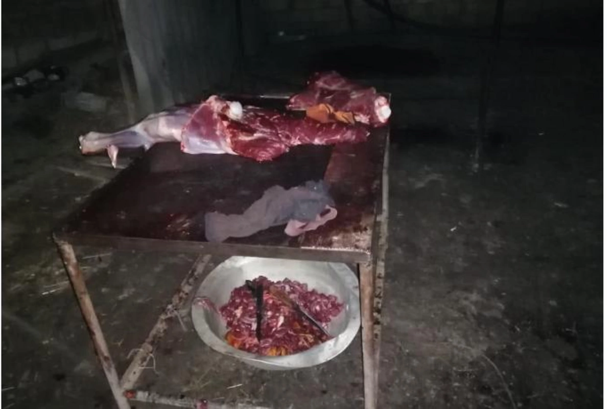Bakıda at əti satmaq istəyən şəxs saxlanıldı — FOTOLAR