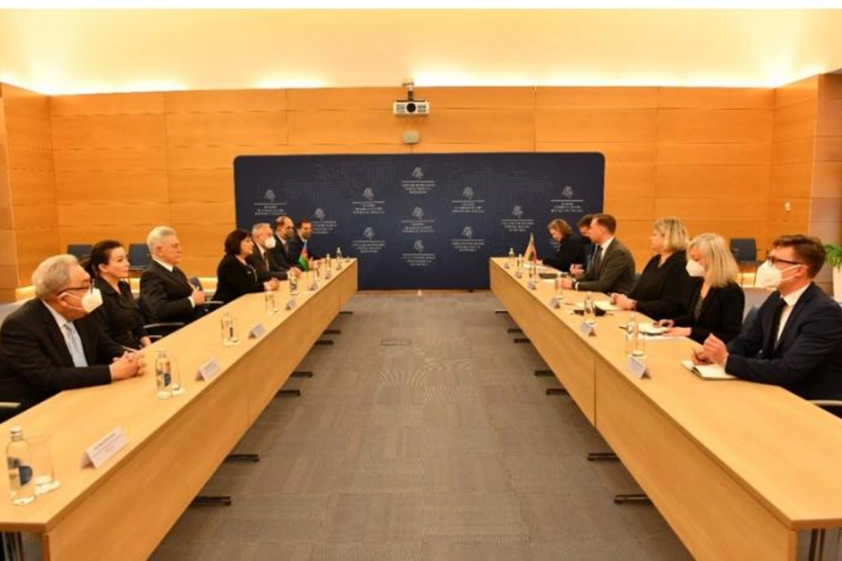 Sahibə Qafarova: “Azərbaycan Cənub Qaz Dəhlizi vasitəsilə Avropanın etibarlı qaz tədarükçüsünə çevrilib”