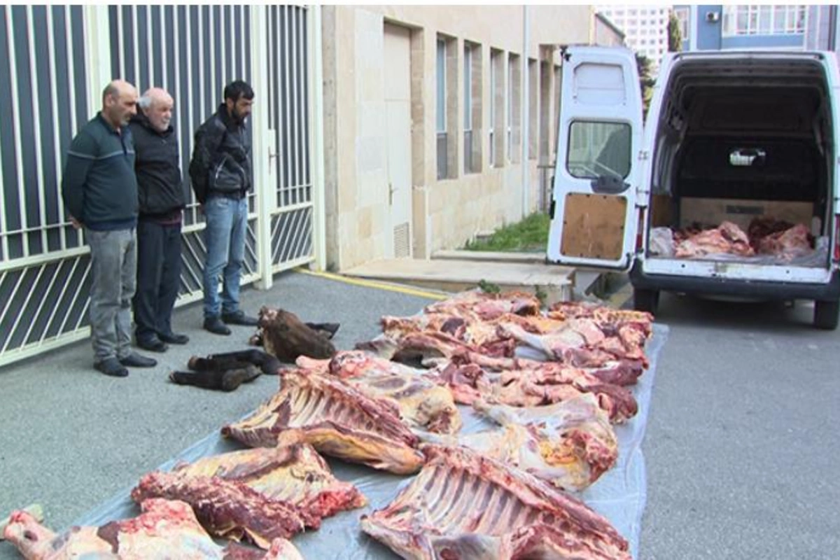 “Bandotdel” Bakıda restoranlara at əti satanları həbs etdi — VİDEO