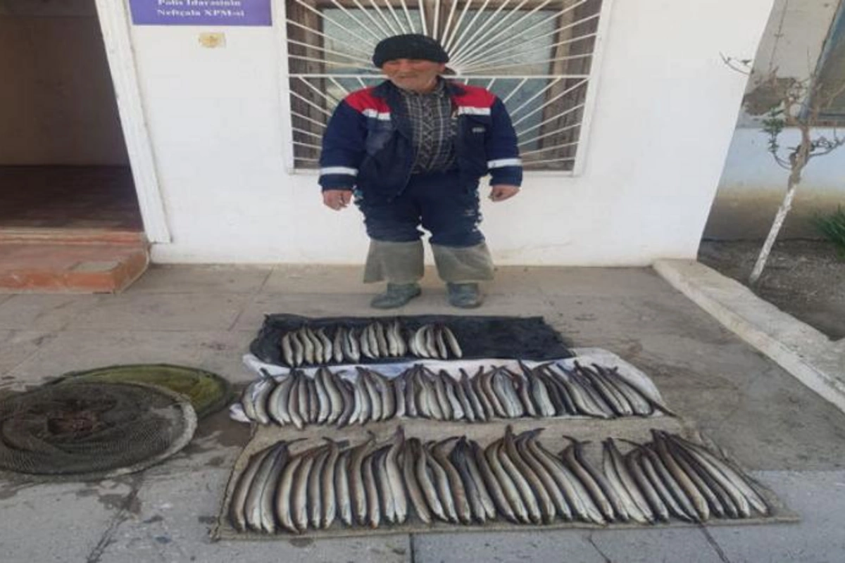 Salyan sakini nəsli kəsilməkdə olan balıq ovlayıb