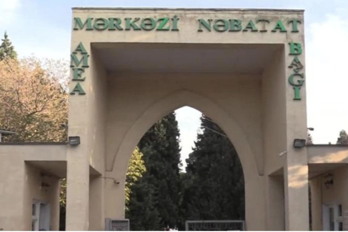Mərkəzi Nəbatat Bağının binası qəzalı vəziyyətə düşdü