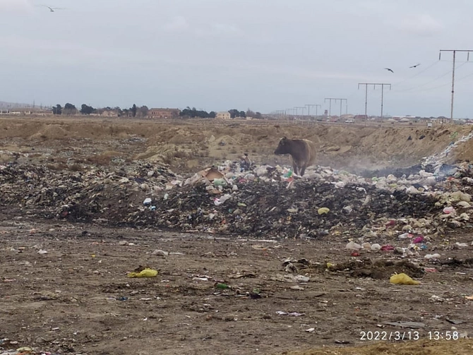Ələt qəsəbəsinin zibil problemi — ÖZƏL Ələt qəsəbəsinin zibil problemi — ÖZƏL