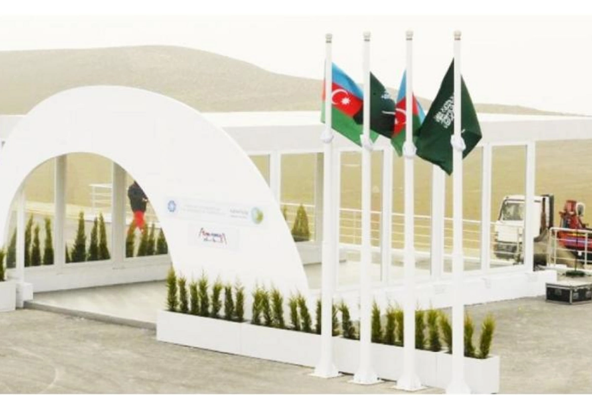 Azərbaycan Səudiyyə Ərəbistanı ilə əmək sahəsində əməkdaşlıq edəcək