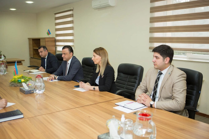 TƏBİB-lə MEDİA arasında əməkdaşlıq perspektivləri müzakirə olundu — FOTOLAR