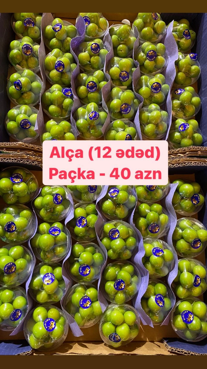Azərbaycanda qızıldan baha meyvə: Kilosu 600 manata Azərbaycanda qızıldan baha meyvə: Kilosu 600 manata