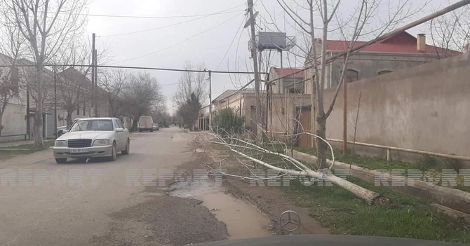 Salyanda güclü külək fəsadlara səbəb olub Salyanda güclü külək fəsadlara səbəb olub