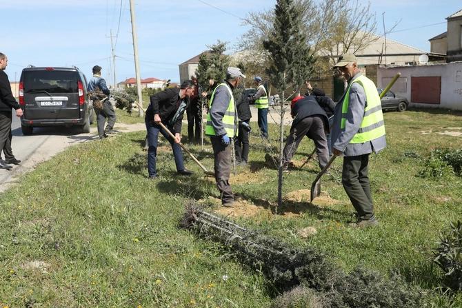 Abşeronda növbəti ümumrayon ağacəkmə kampaniyası keçirildi — FOTOLAR Abşeronda növbəti ümumrayon ağacəkmə kampaniyası keçirildi — FOTOLAR