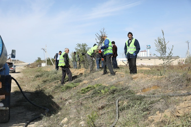 Abşeronda növbəti ümumrayon ağacəkmə kampaniyası keçirildi — FOTOLAR Abşeronda növbəti ümumrayon ağacəkmə kampaniyası keçirildi — FOTOLAR