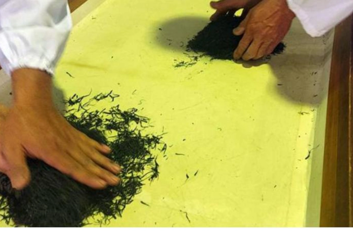 Bir kilo çay 26 minə satıldı