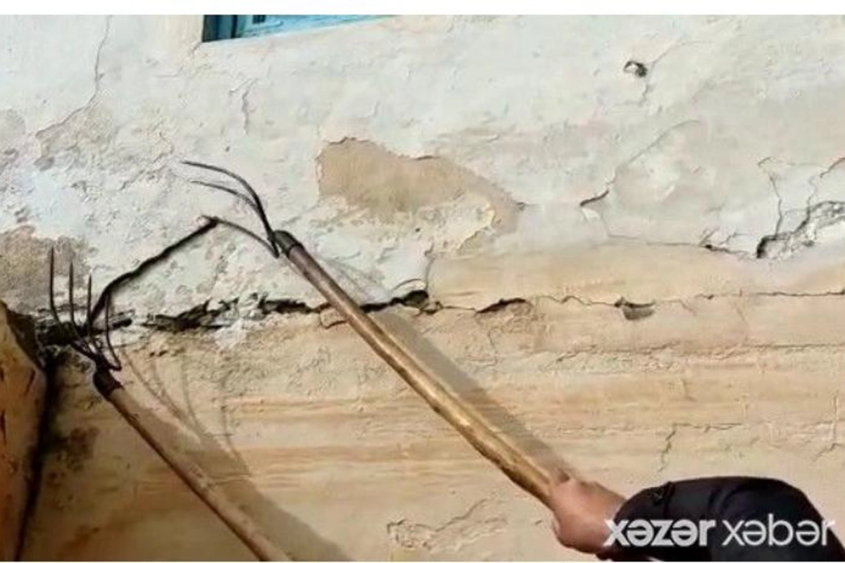 Azərbaycanda bu məktəbdə ilanlar gəzir — VİDEO