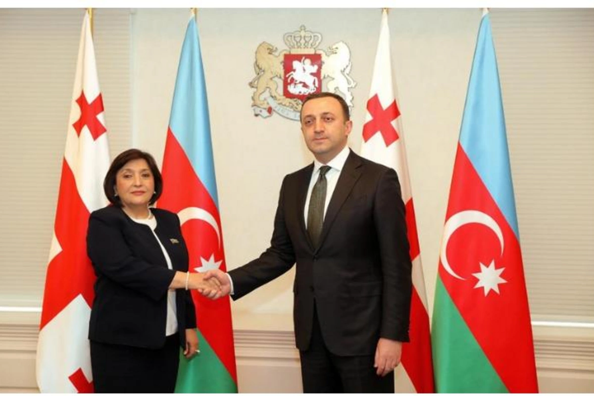 Sahibə Qafarova Gürcüstanın Baş naziri ilə görüşdü