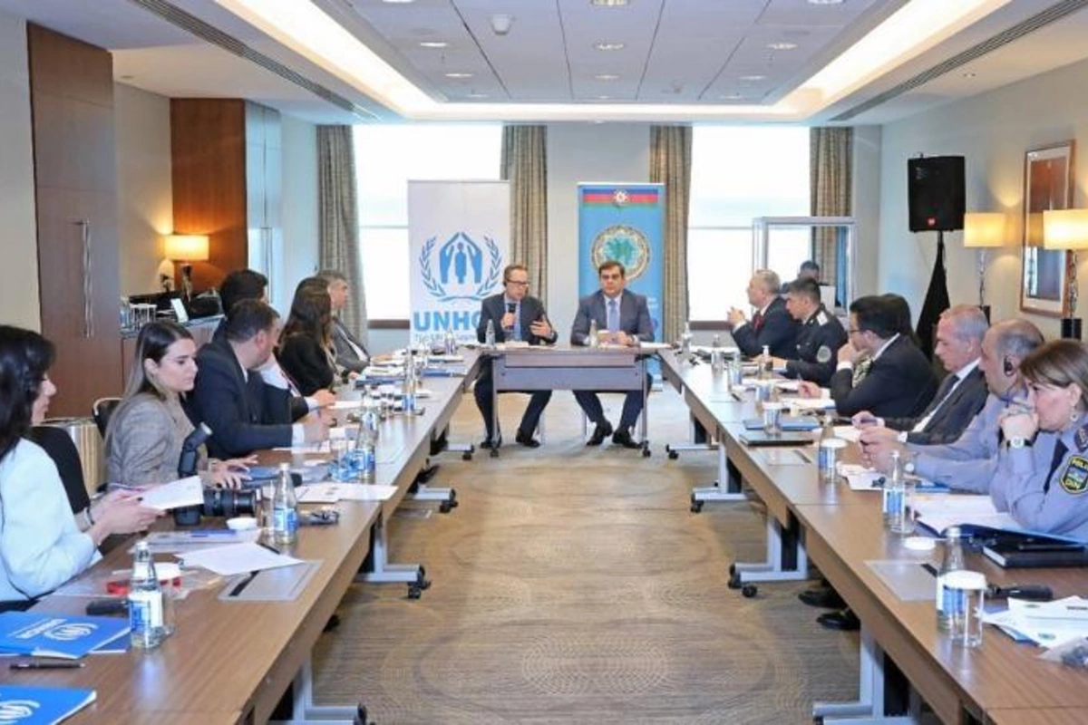 “Vətəndaşsızlıq məsələləri üzrə İşçi Qrup”un iclası keçirildi — FOTOLAR