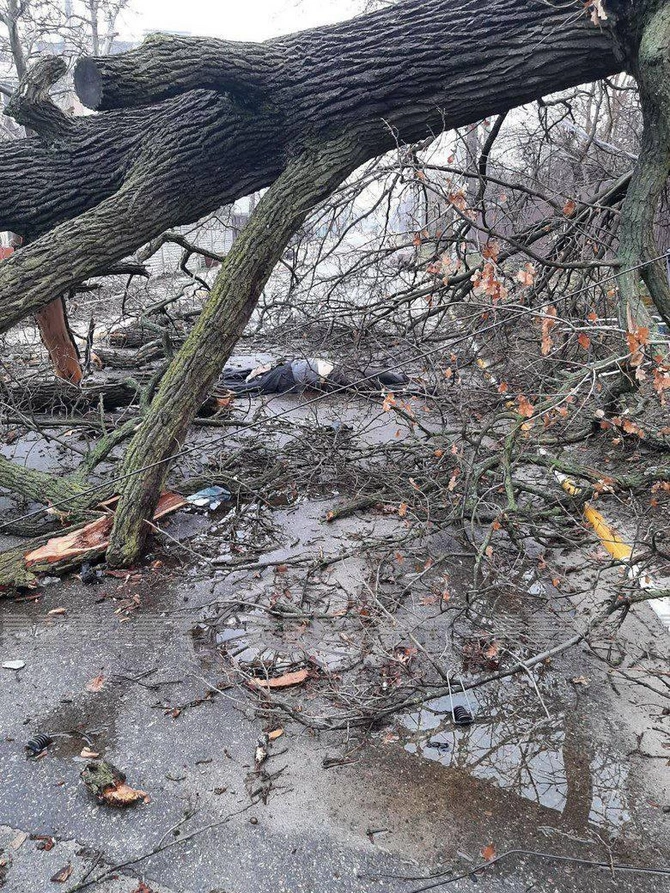 Azad olunmuş Kiyev vilayətinin yeni görüntüləri — FOTOLAR