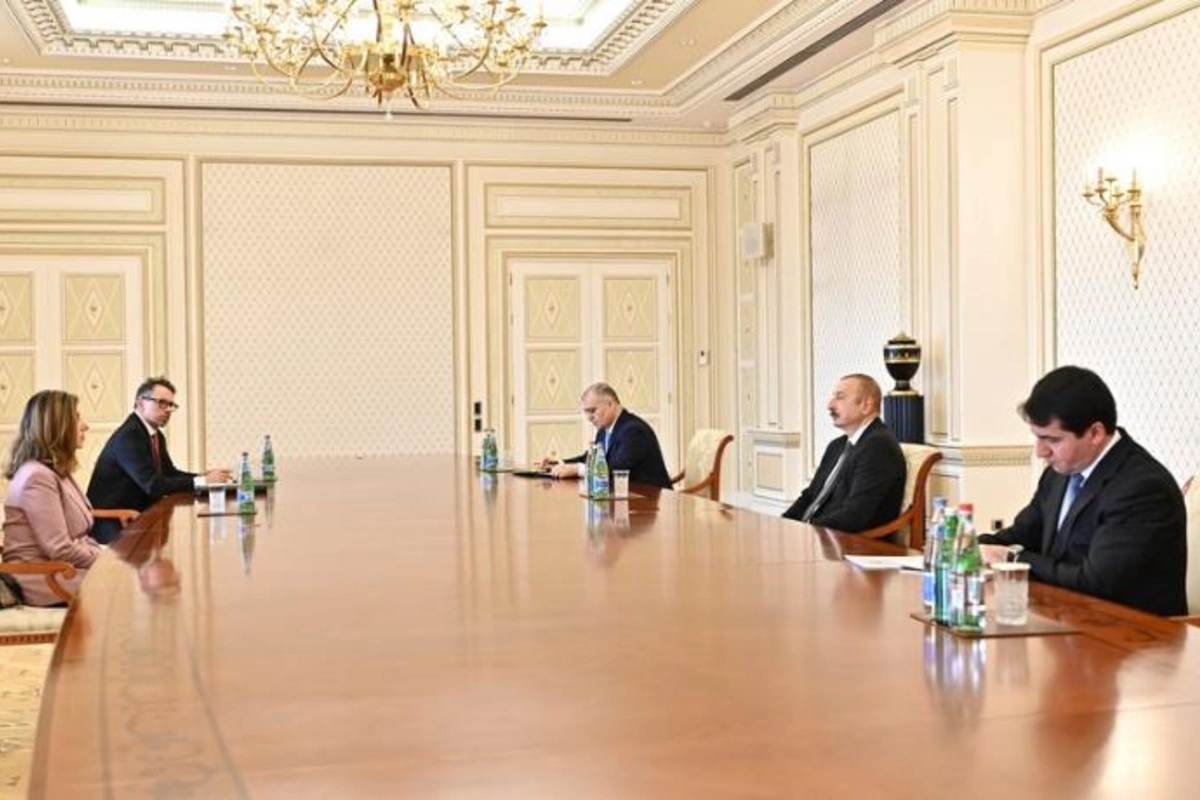 Prezident İtkin düşmüş şəxslər üzrə Beynəlxalq Komissiyanın baş direktorunu qəbul etdi — YENİLƏNİB