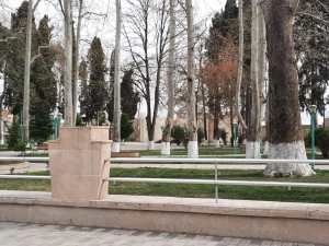 Ağstafada başçı müavini parkda çayxana açdı — FOTOLAR Ağstafada başçı müavini parkda çayxana açdı — FOTOLAR