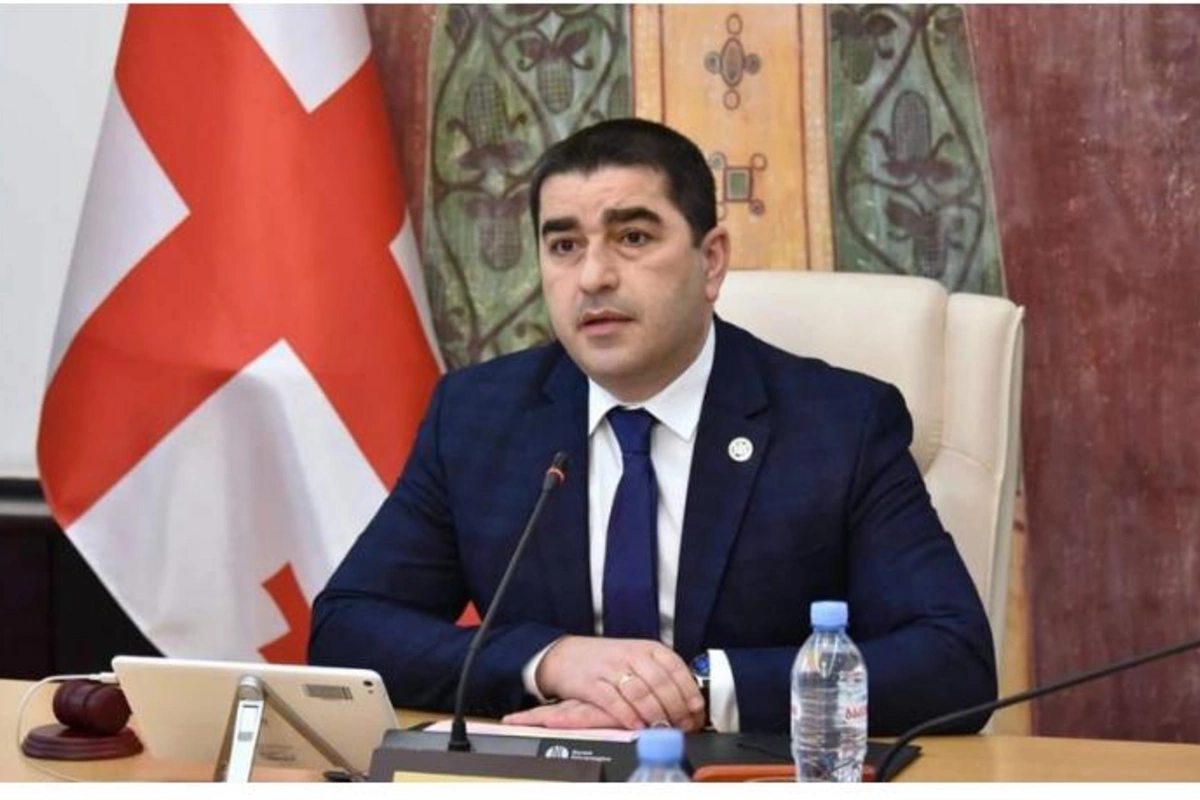 Gürcüstan parlamentinin sədri Buçaya səfərdən imtina etdi