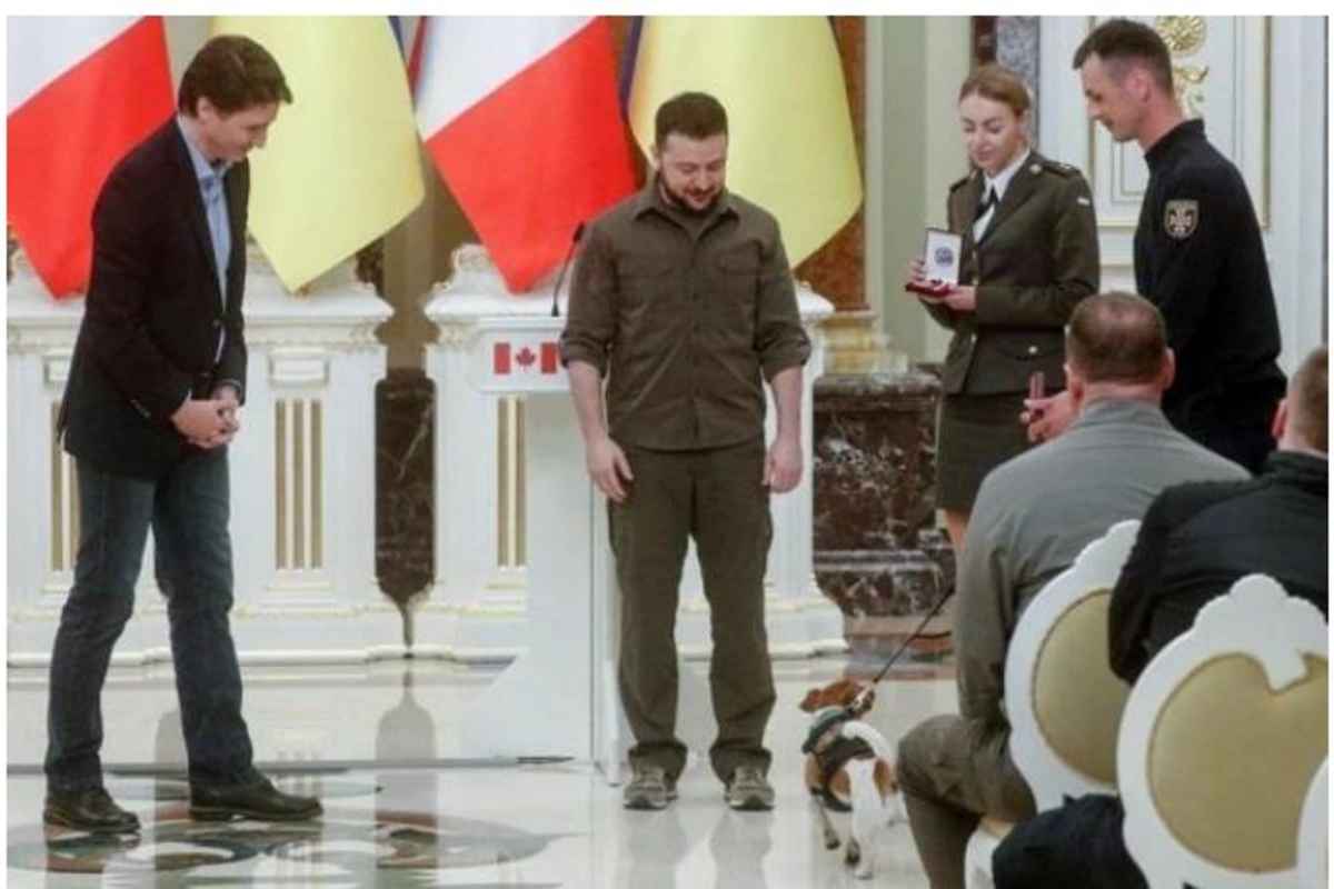 Zelenski bu itə medal verdi — FOTO