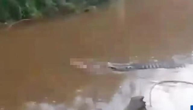 Timsah balıq tutan kişini iki yerə böldü — FOTOLAR