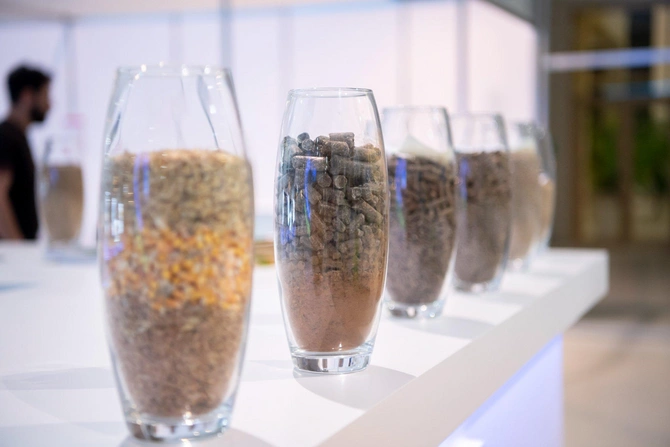 Bakıda “Caspian Agro” və “InterFood Azerbaijan” sərgiləri işə başlayır — FOTOLAR