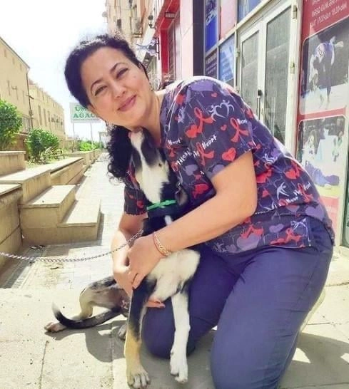 Xəstə ev heyvanı sağlamlığınız üçün təhlükədir — Nələri bilməliyik?