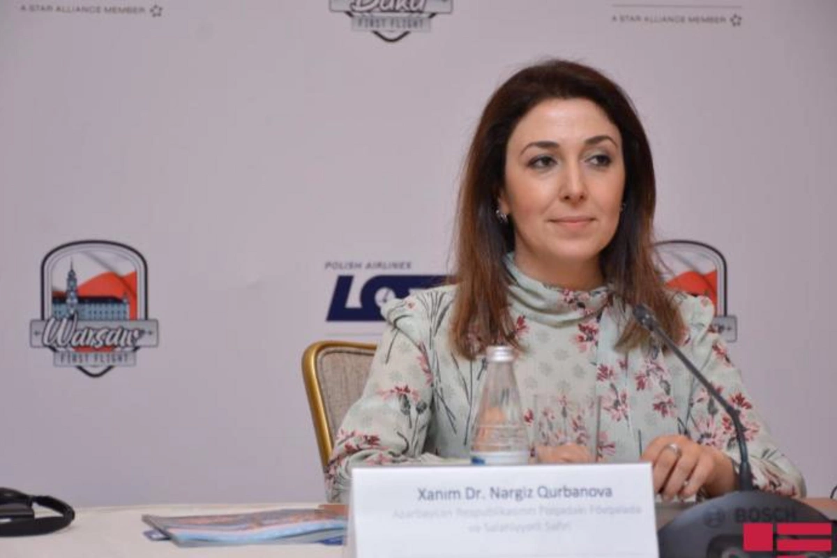 Səfir: “Təklif gələrsə, Azərbaycan hökuməti vizadan azadetmə məsələsinə baxa bilər”