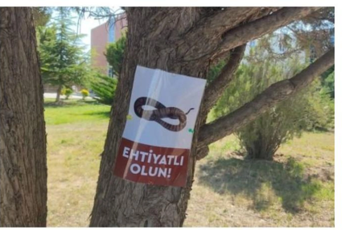 Universitetdə müzakirələrə səbəb olan ilan elanı ilə bağlı AÇIQLAMA