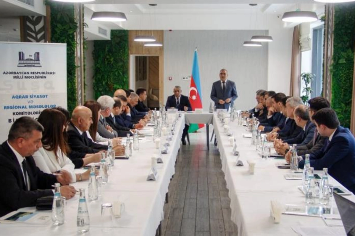 Şuşada Milli Məclisin komitələrinin birgə iclası keçirildi — FOTOLAR