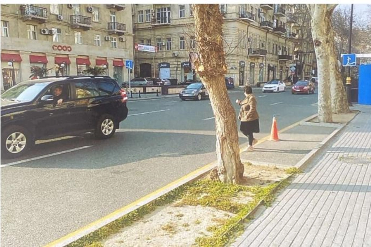 Biri ağacı kəsdi, digəri parkinq saldı, arada bələdiyyə cərimələndi — FOTOLAR