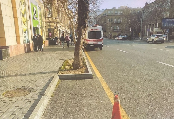 Biri ağacı kəsdi, digəri parkinq saldı, arada bələdiyyə cərimələndi — FOTOLAR