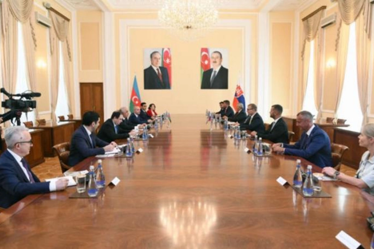 Əli Əsədov Slovakiya Milli Şurasının sədri ilə görüşüb