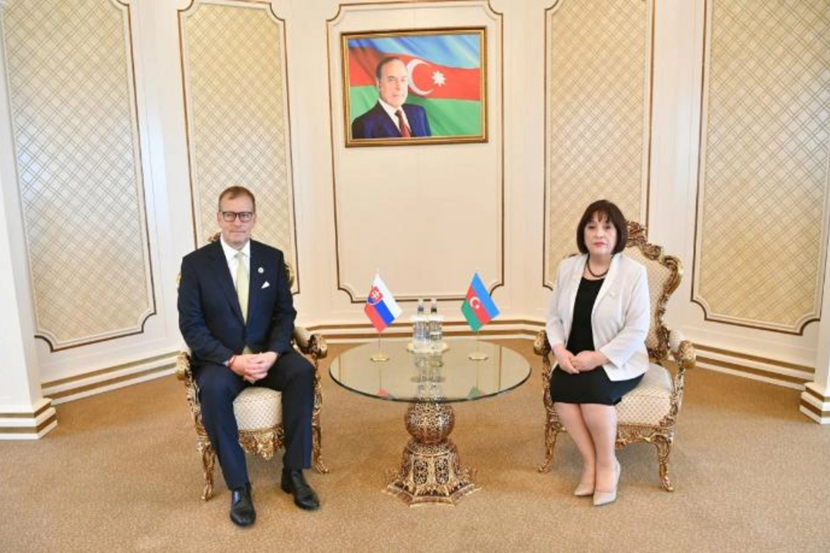 Sahibə Qafarova: “Slovakiya Zəngəzur dəhlizindən faydalana bilər”