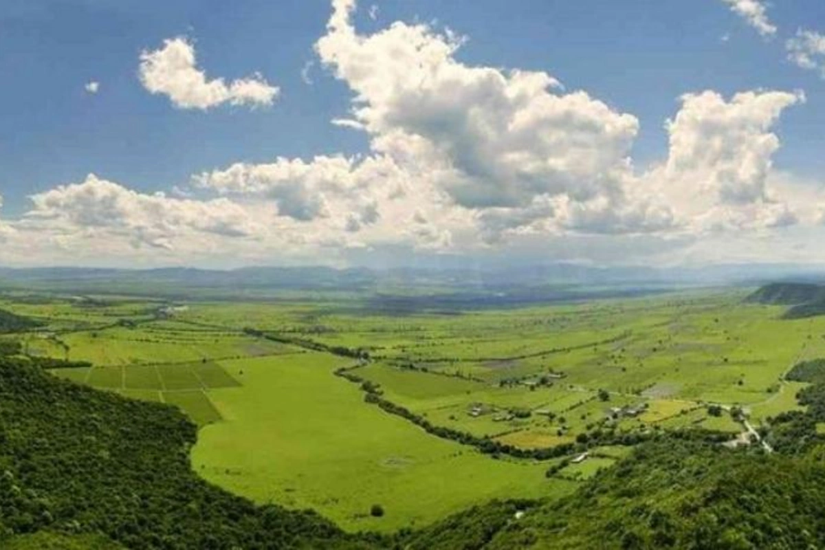 Cənubi Qafqazın iki ərazisinə ilk dəfə xüsusi qoruq statusu verildi