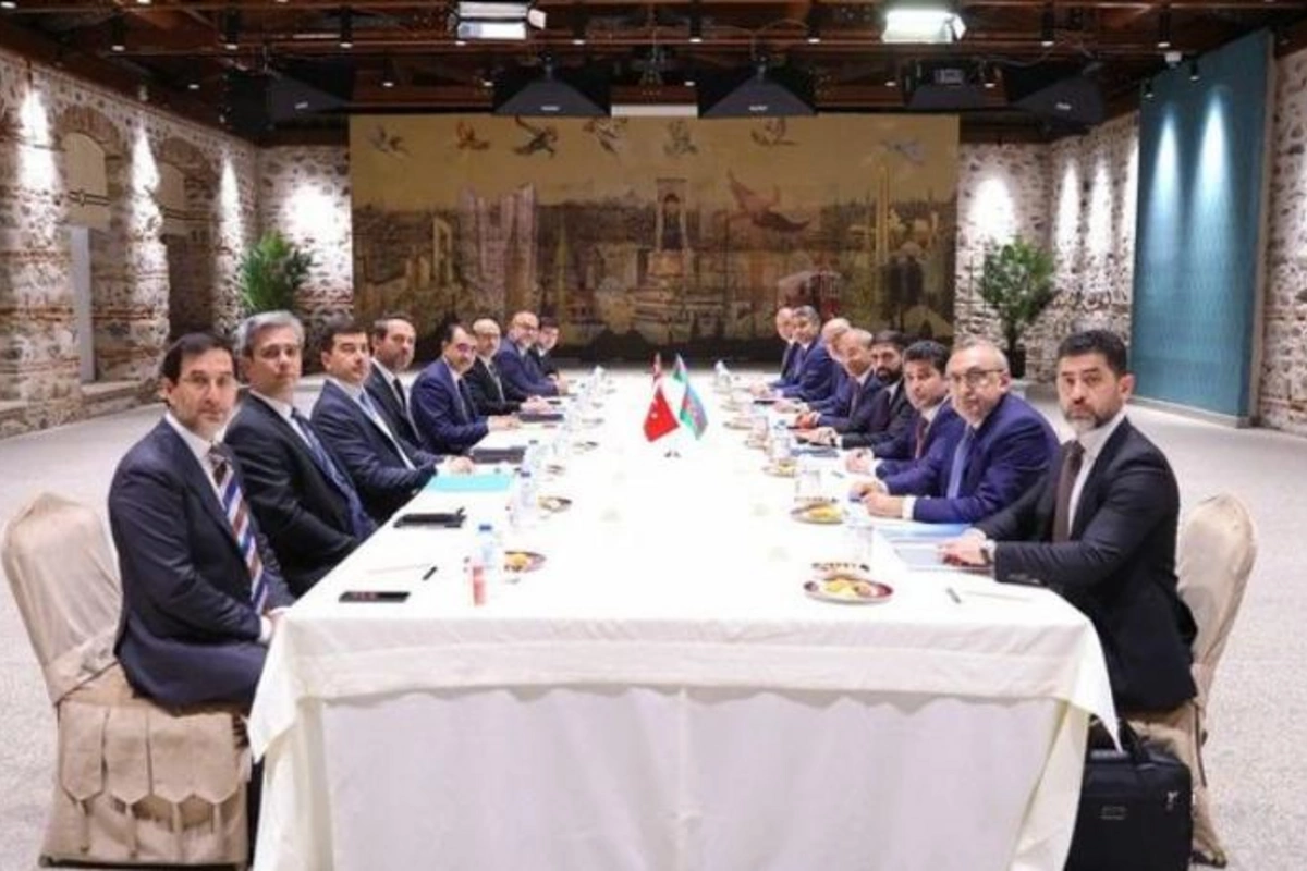 Mikayıl Cabbarov Türkiyənin energetika və təbii sərvətlər naziri ilə görüşüb