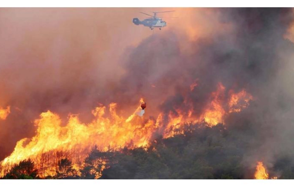 Türkiyədə meşə yanır: helikopterlər cəlb olundu