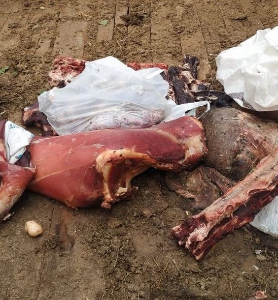 Şəmkirdə istehlaka yararsız 75 kiloqram ət aşkarlandı — FOTO Şəmkirdə istehlaka yararsız 75 kiloqram ət aşkarlandı — FOTO