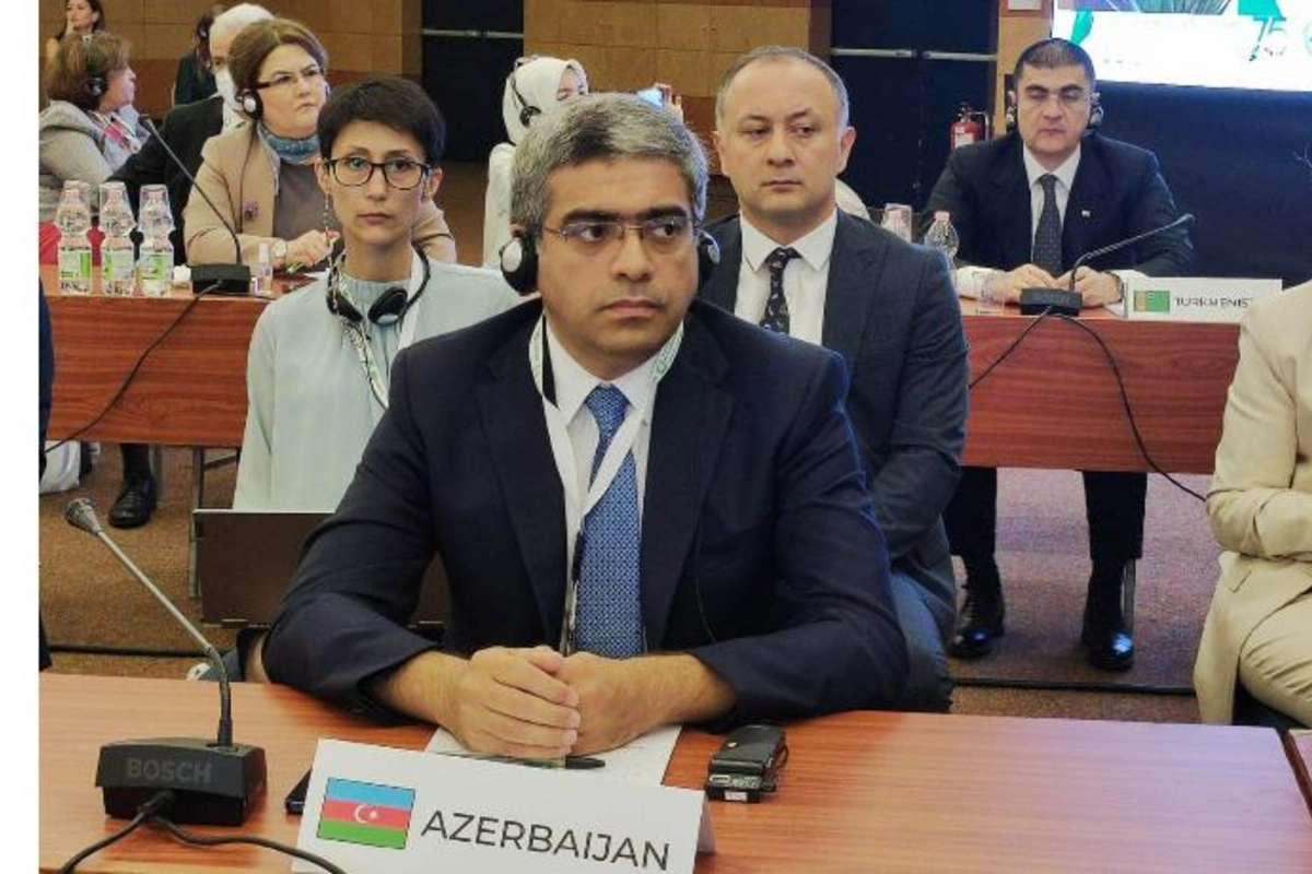 Romada keçirilən konfransda Azərbaycanda aparılan sosial islahatlar diqqətə çatdırıldı — FOTOLAR
