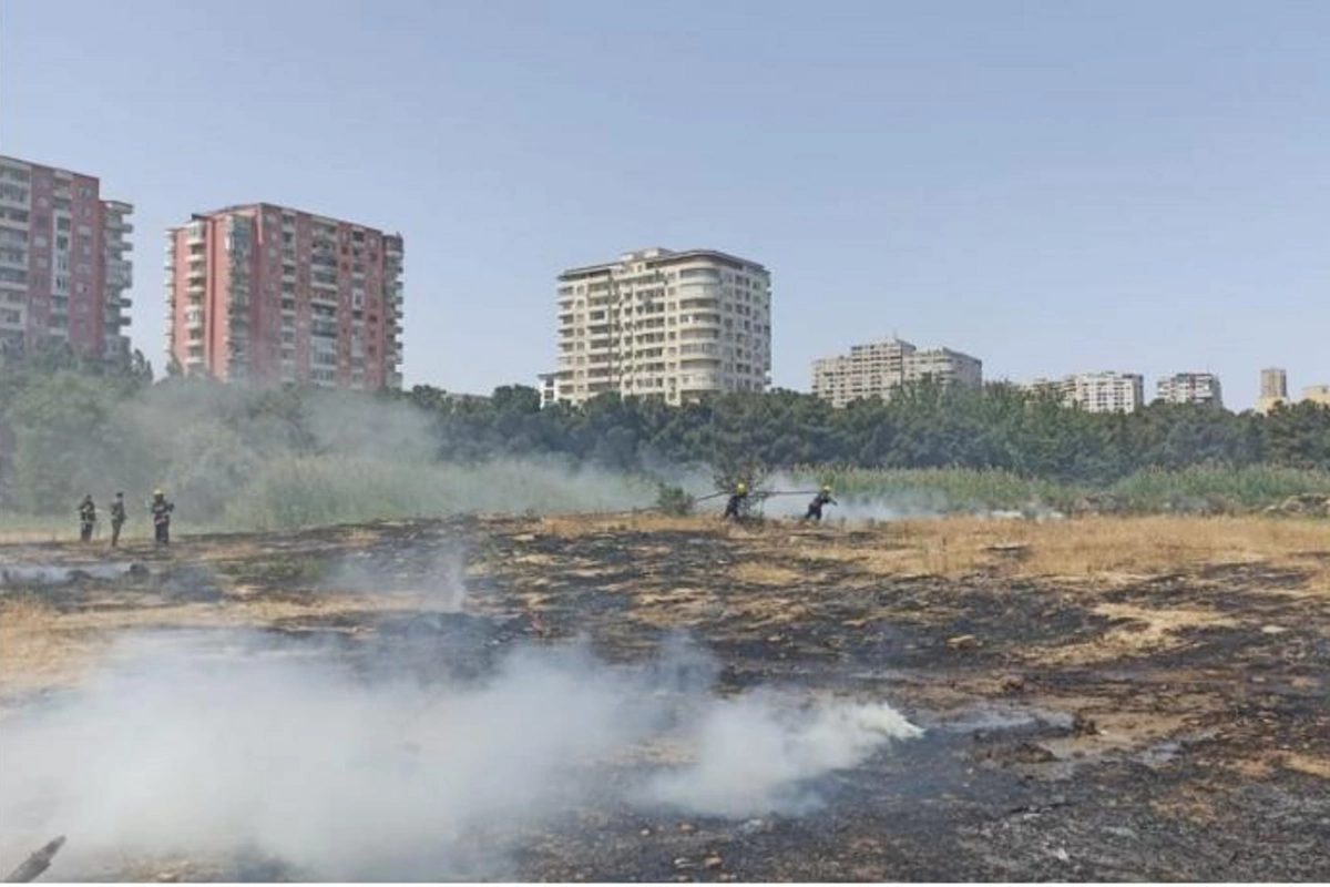 Bakıda parkda qəsdən yanğın törədən şəxs saxlanıldı — FOTO