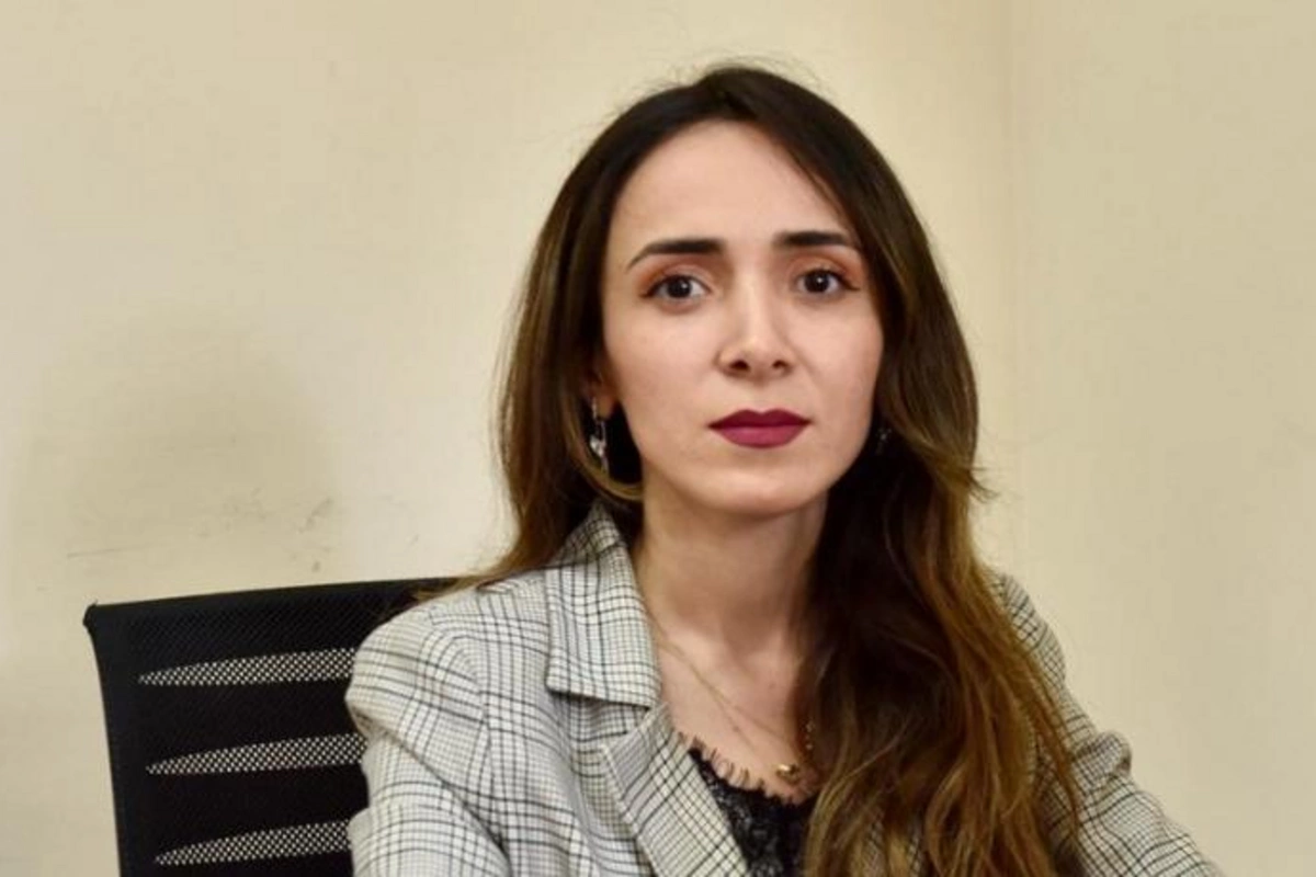 “Venesiya Komissiyası MEDİA-nın arqumentlərinin bir qismini nəzərə alıb”