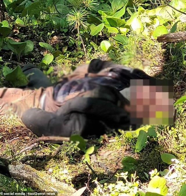Yaraladığı ayıya yaxınlaşan ovçu həyatının səhvini etdi — FOTOLAR
