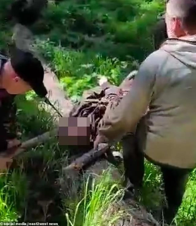 Yaraladığı ayıya yaxınlaşan ovçu həyatının səhvini etdi — FOTOLAR