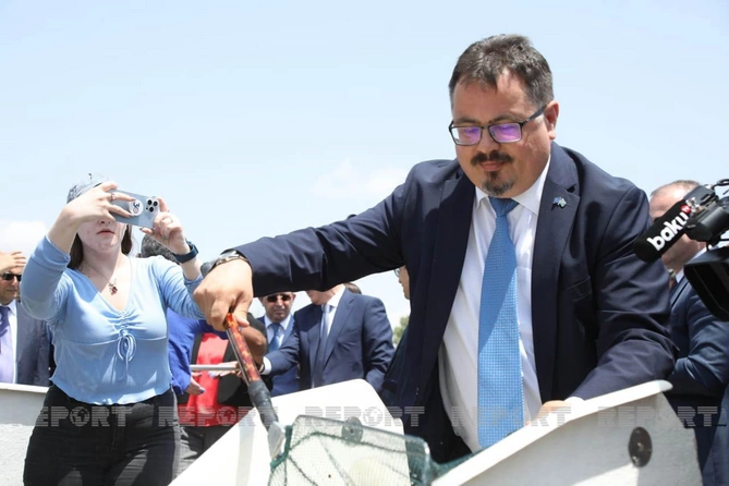 Diplomatlar və beynəlxalq ekspertlər Həkəri çayına forel balıqları buraxdılar — FOTOLAR