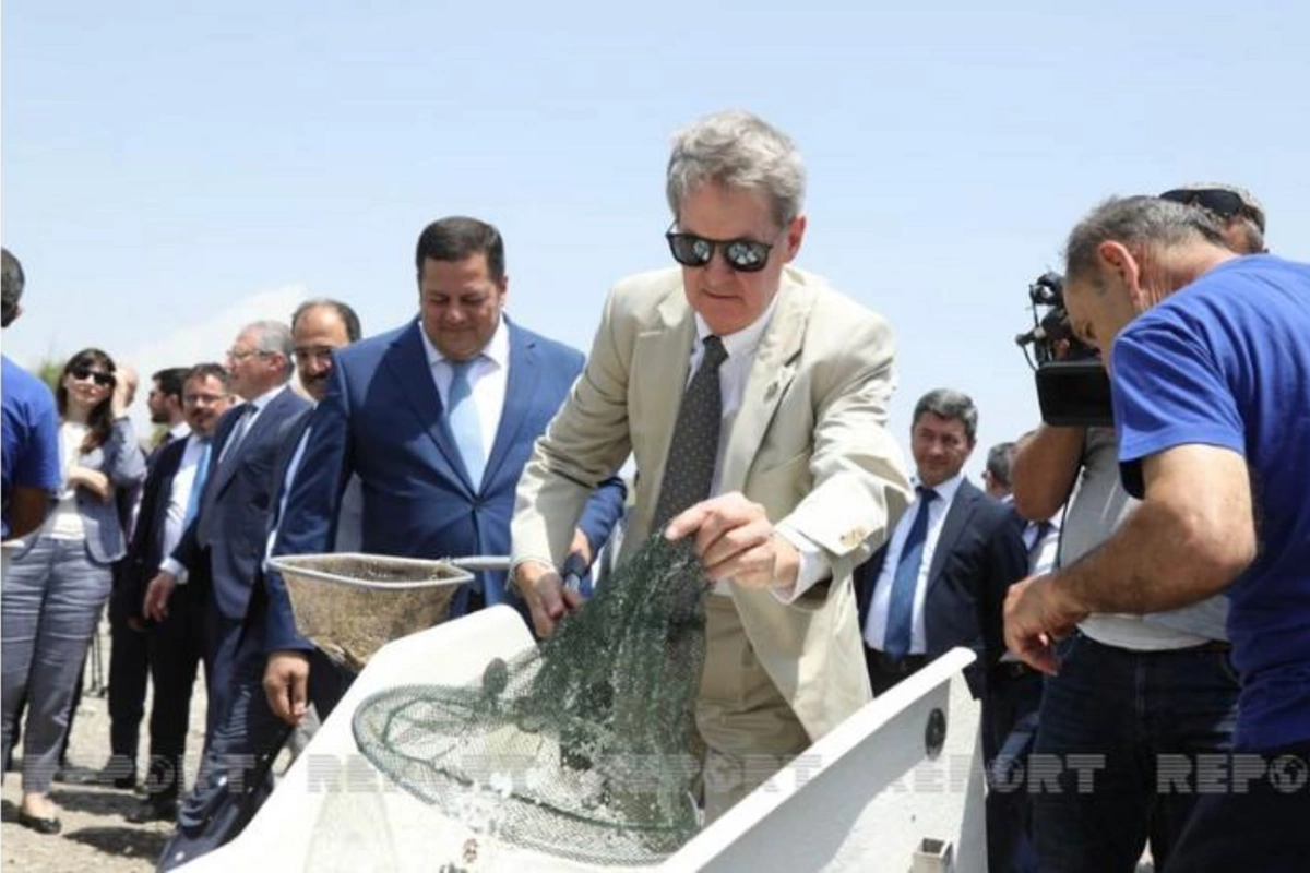 Diplomatlar və beynəlxalq ekspertlər Həkəri çayına forel balıqları buraxdılar — FOTOLAR