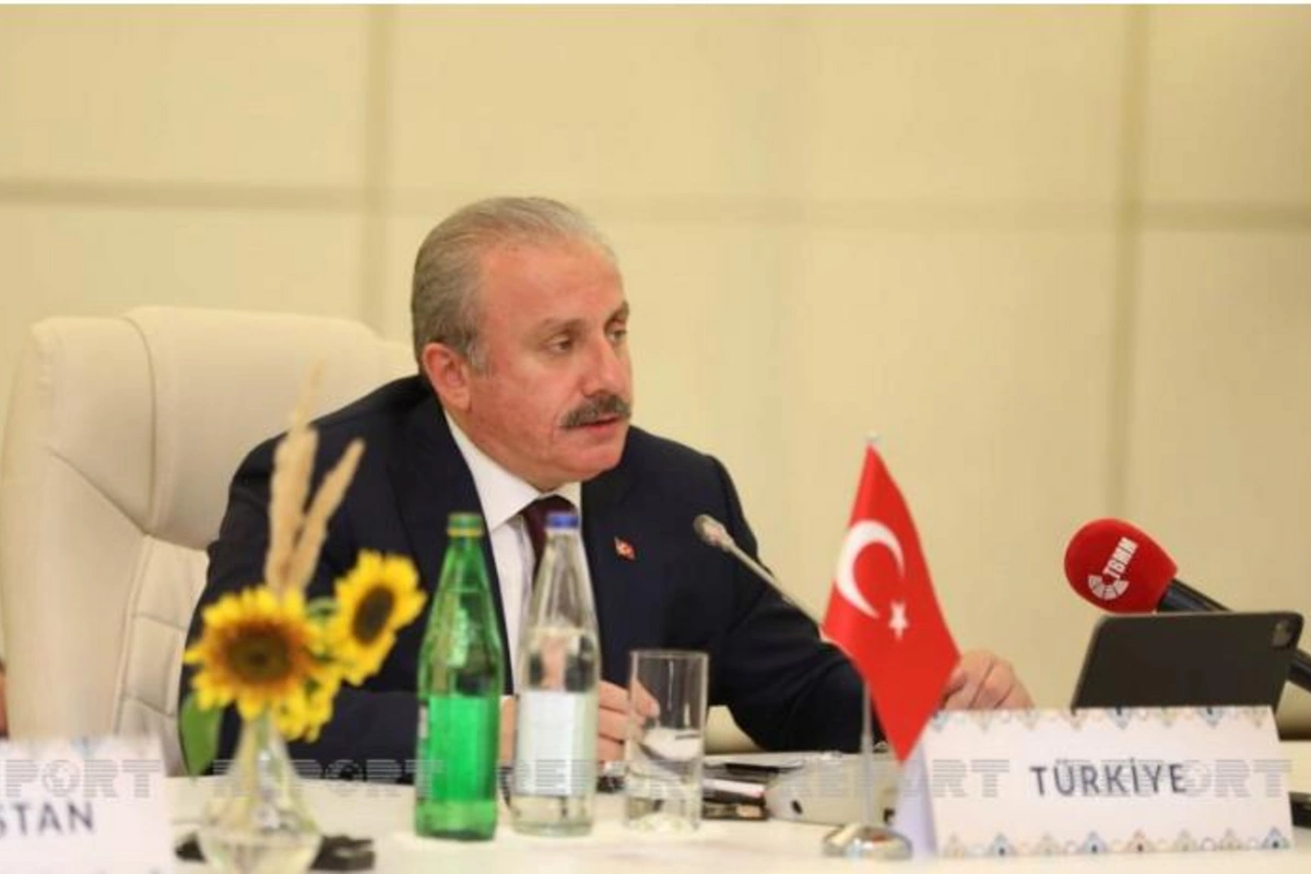 Şentop: Rusiya nümayəndə heyətinə qarşı hücum qəbuledilməzdir