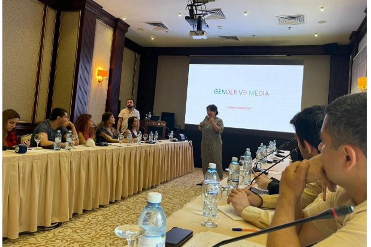 “Mediada gender bərabərliyi və peşəkarlıq” təlimindən görüntülər — VİDEO