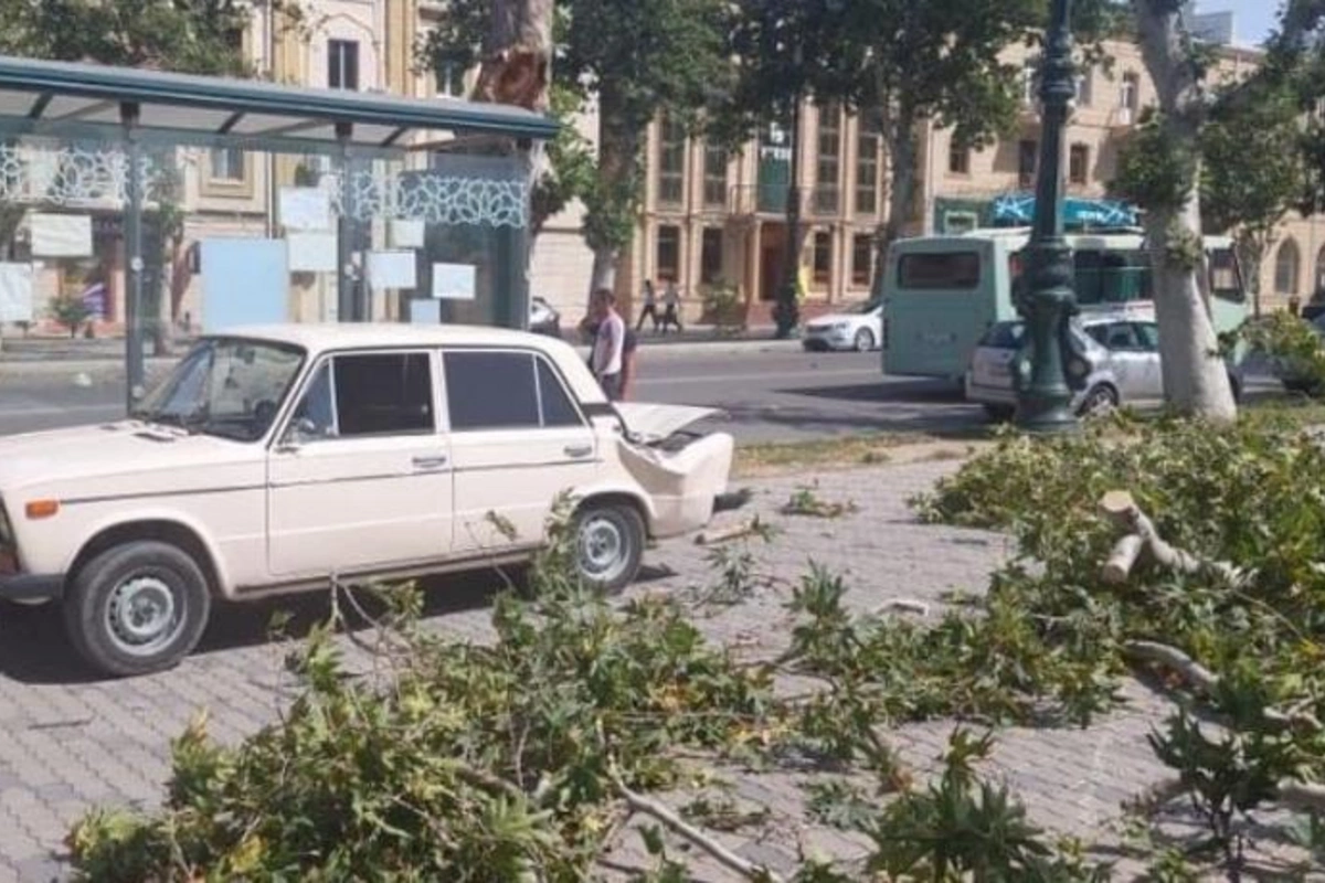 Gəncədə güclü külək fəsad yaratdı — FOTO