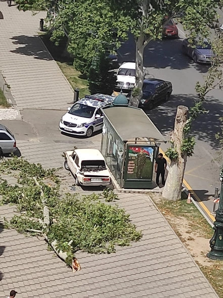 Gəncədə güclü külək fəsad yaratdı — FOTO