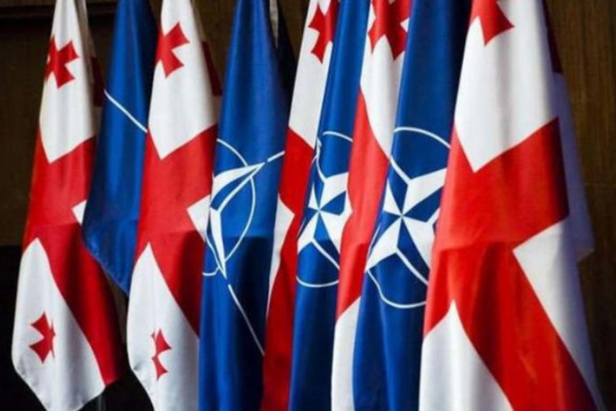 NATO Gürcüstana xüsusi status verdi